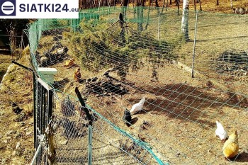 Siatki Przemyśl - Siatka na woliery - zabezpieczenia ptaków w hodowli dla terenów Przemyśla